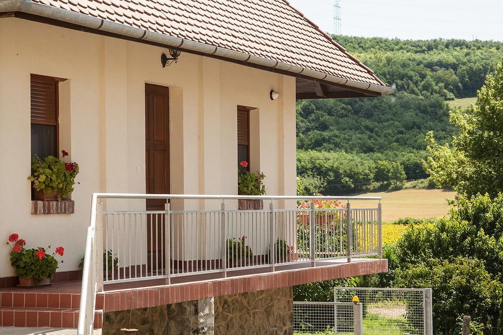 Wekler Csaladi Pinceszet Es Panzio Hotel Mecseknadasd Ngoại thất bức ảnh